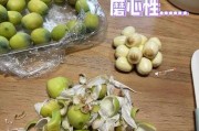 新鲜莲子剥皮要去衣吗（新鲜莲子扒皮还是不扒皮）