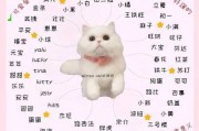 给宠物猫咪名字大全（宠物猫咪名字大全可爱男）