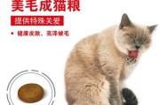 美国短毛猫吃什么猫粮比较好（美国短毛猫适合吃什么猫粮）