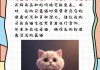 折耳蓝猫价格一般是多少一只（折耳蓝猫是什么品种多少钱）