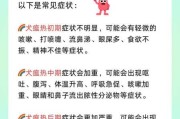 狗狗感知温度和人一样吗（狗狗感知温度和人一样吗视频）