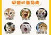 猫咪会一直叫怎么办（猫一直叫会停吗）