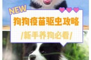 宠物狗狗狂犬疫苗什么时候打好（狗狗狂犬疫苗啥时候打最合适）