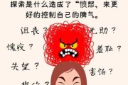 愤怒是以灵魂的伤害为代价的（愤怒其实是一种恐惧）