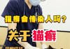 猫会感染人类什么病（猫会感染吗）