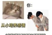 怎样让猫咪听话?你叫他就过来（怎么样让猫听话?）