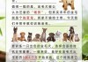 训练金毛犬的10个注意点（训练金毛犬的10个注意点是什么）