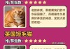 想养猫咪怎么办（想要养猫咪）