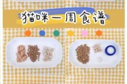 幼猫的食谱（幼猫食谱大全）