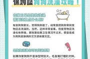 给狗狗洗澡用什么洗比较好（给狗洗澡应该用什么洗）