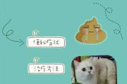 怎么防止猫便秘（如何防止猫便秘）