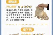 如何让猫成为好朋友（怎么让猫咪成为好朋友）