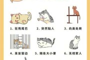 猫咪压抑怎么办（猫咪压抑的表现）