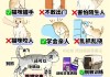 能训练猫吗（猫能训练么）