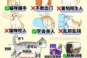 能训练猫吗（猫能训练么）