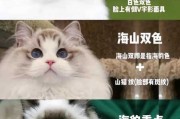 怎么样看布偶猫的品相（如何看布偶的品相）