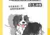 边境牧羊犬怎么训练大小便（边境牧羊犬怎样训练）