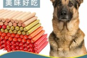 德国牧羊犬食物（德国牧羊犬食物吃什么）