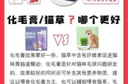 猫咪要化毛膏吗（猫咪必须要化毛膏吗）