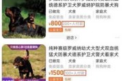 防暴犬的价格是多少（防暴犬的价格是多少钱一只）