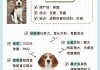 比格犬真的很难养吗（比格犬好养活吗）