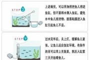 饲养金鱼的换水技术（家养金鱼换水方法）