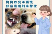 狗狗口臭是什么原因?主要有这5种（狗狗口臭怎么办最简单的方法）