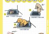 如何训练幼犬到固定位置拉屎（怎么训练幼犬大小便）