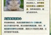 龙猫怎么购买（龙猫购买指南）