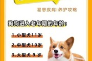 老年犬易发疾病（老年犬易发疾病是什么病）