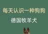 德国牧羊犬吃什么长的最快（德国牧羊犬喂食什么比较好）