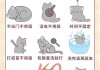 怎么在家给猫做驱虫（怎么给猫猫做驱虫）