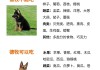 德国牧羊犬排行（世界顶级德国牧羊犬）