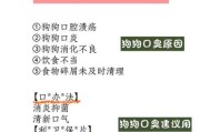 狗狗去除口臭用什么方法（如何去除狗狗口臭）