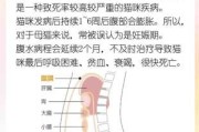 猫腹水是怎么导致的（猫腹水是怎么形成的）