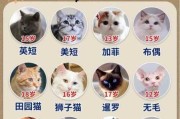 猫猫寿命是多长（猫咪寿命一般有多长）