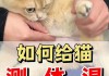 猫猫发烧体温（猫 发烧 体温）