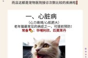 猫咪的定期检查很重要吗（如何看待猫咪定期体检）