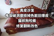 沙发让狗挠破了怎么修补（皮沙发狗咬烂了怎么办）