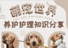 犬的全身护理（宠物狗的护理）