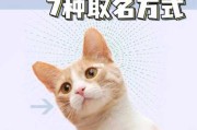 怎样让猫咪记住自己的名字（怎么样才能让猫咪记住自己的名字）