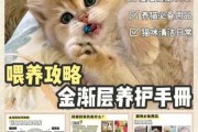 饲养金渐层需要注意什么（养金渐层猫要注意什么）