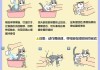 如何为波斯猫护理毛发呢（波斯猫怎么洗澡）