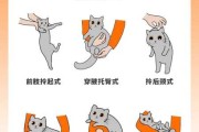 抱猫咪正确姿势（抱猫猫怎么抱）