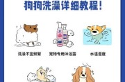 柴犬洗澡方法及步骤视频（柴犬洗澡方法及步骤视频）