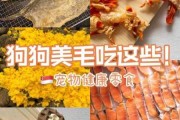 促进宠物毛发生长（促进宠物毛发生长的食物）