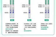 早孕试纸什么时候测更准（早孕试纸什么时候测最准）