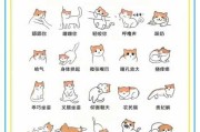 猫的肢体语音（猫肢体语言解读）