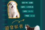 阿拉斯加犬什么时候开始禁养（阿拉斯加犬什么时候成年）