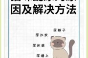 猫咪乱尿有什么办法（猫咪乱尿的原因猫咪乱尿怎么教育）